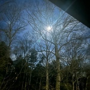 Meet your Posher, Eugene